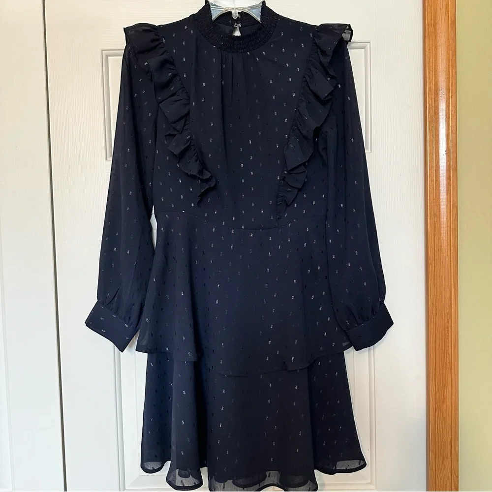 Express Long Sleeve Tiered Ruffle Swiss Dot Navy Blue Dress